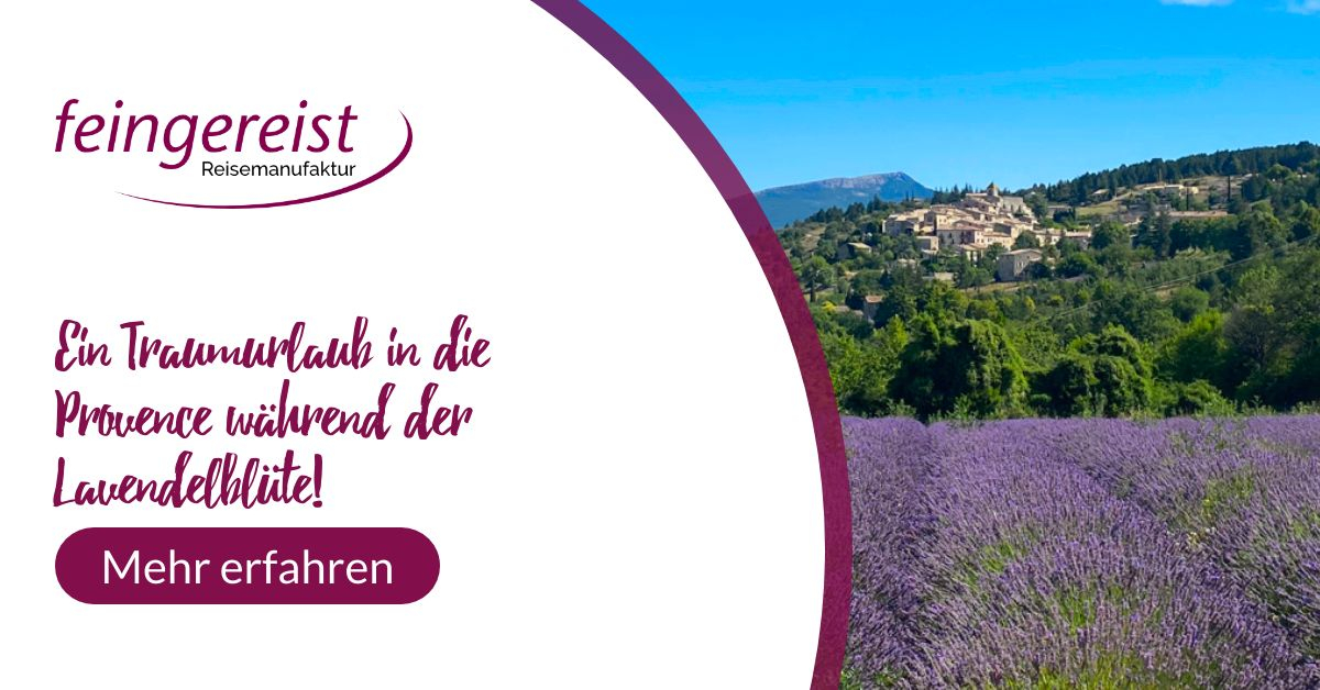Lavendelreise in die Provence